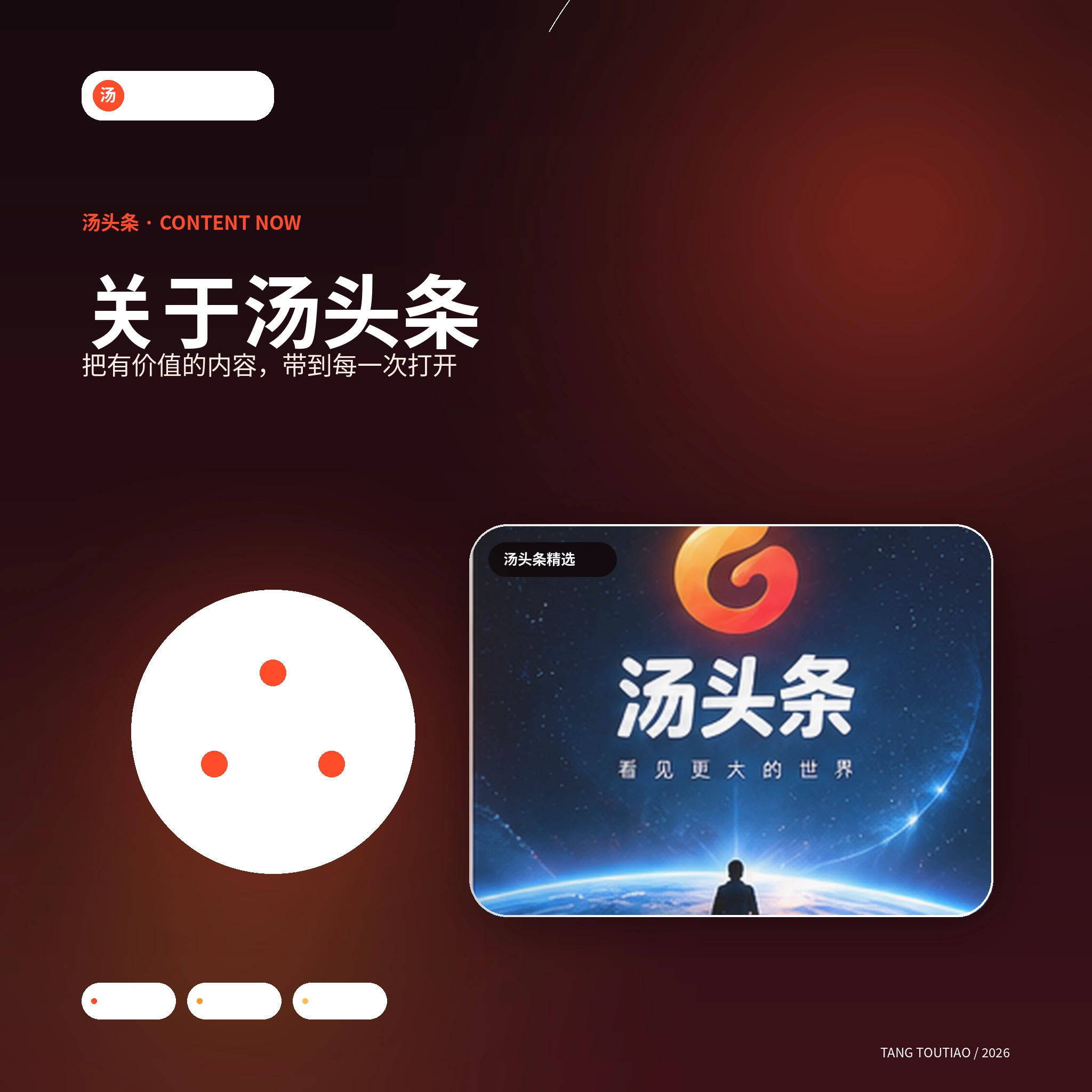 关于汤头条官网